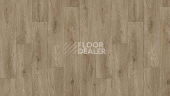 Линолеум Tarkett Idylle Nova Bremen 3 фото 1 | FLOORDEALER